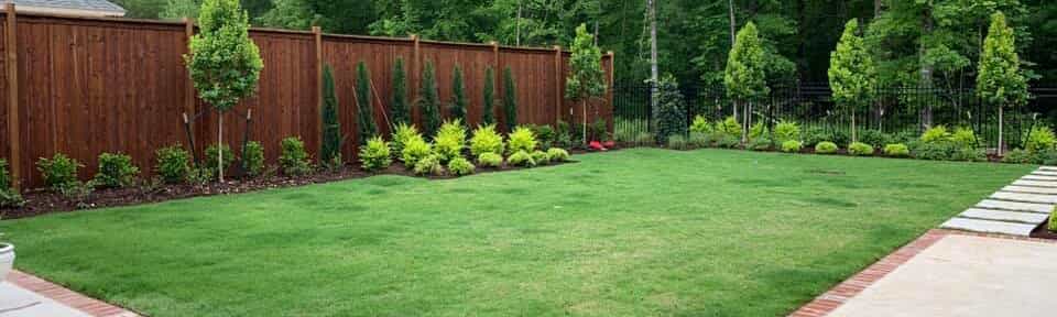 Lawn outside a home